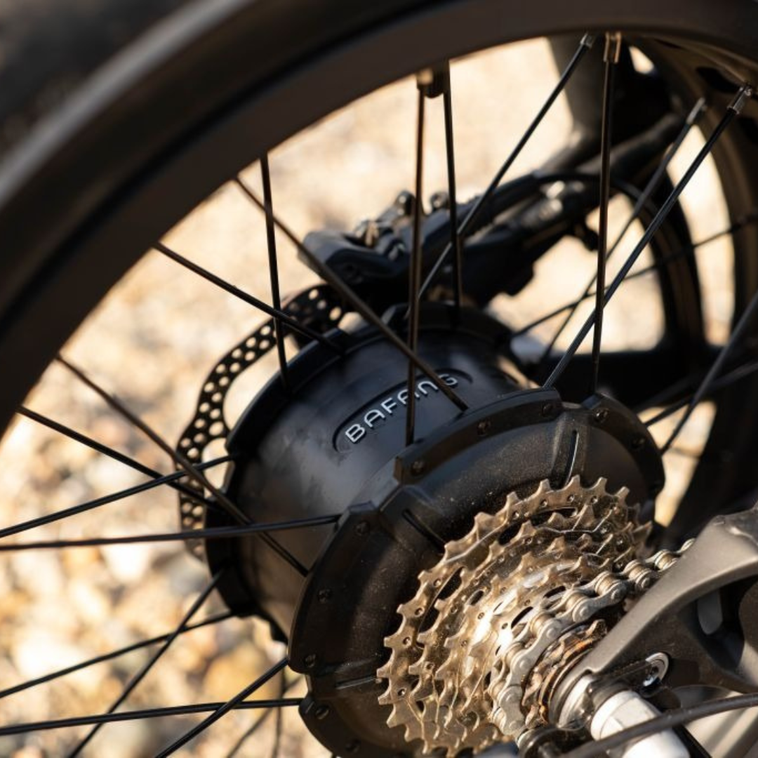 Salt-E High Tide – Step-Thru | 750W | Hydraulic Brakes | 60ks Range