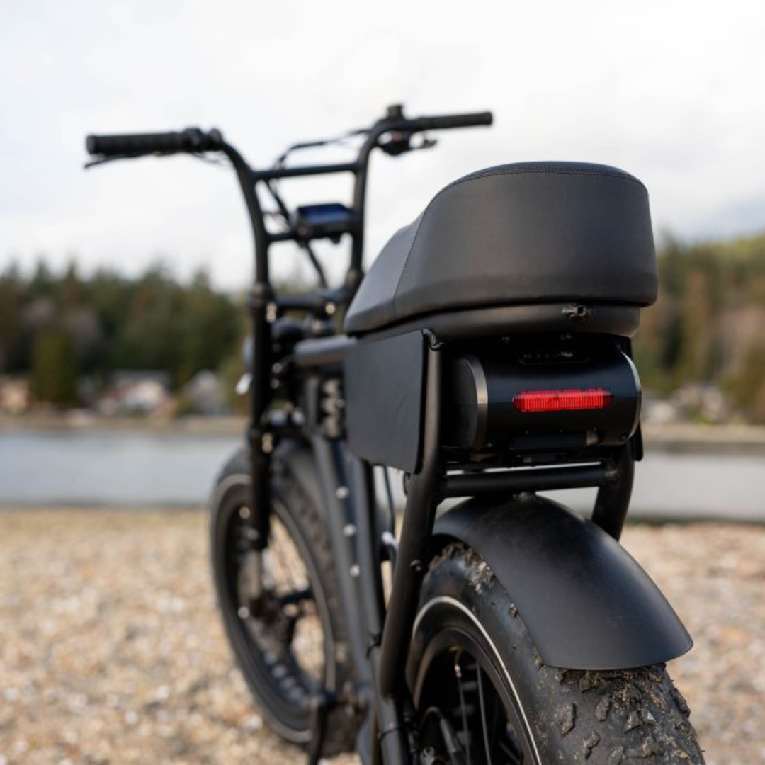 Salt-E High Tide – Step-Thru | 750W | Hydraulic Brakes | 60ks Range